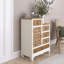 Armoire de rangement rétro pour vestibule, salon