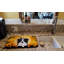 Tapis de séchage collie de bordure halloween