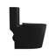 Toilettes allongées à fixation au sol 1,6 gallons GPF Rainlex (siège inclus) Rainlex-100078671