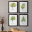 L'arbre I - ensemble de 4 reproductions d'art encadrées-1496819695-1506622914-1506622933