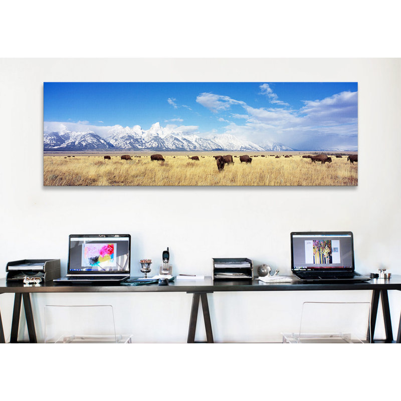 «Panoramic Bison Herd», parc national de Grand Teton, Wyoming, reproduction de photo sur toile, H 20 po x l 60 po x P 1,5 po