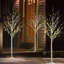 4FT & 5FT & 6FT Lighted Artificial Birch Christmas Tree Set