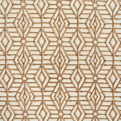 Rayon from Bamboo Cane Fabric