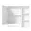 Wall Mounted Bathroom Storage Cabinet-1937556