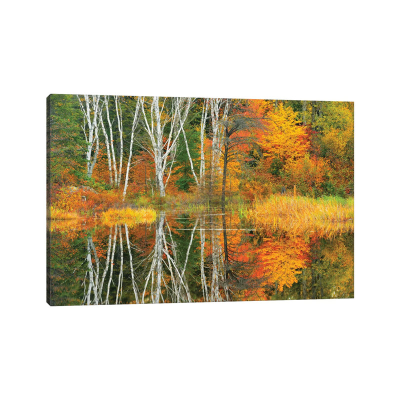 Canada, Ontario, Capreol by Jaynes Gallery - Wrapped Canvas Print, 30.48cm H x 45.72cm W x 1.905cm D