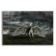 «Pegasus Rising» par Shutterstock Alan-318635417