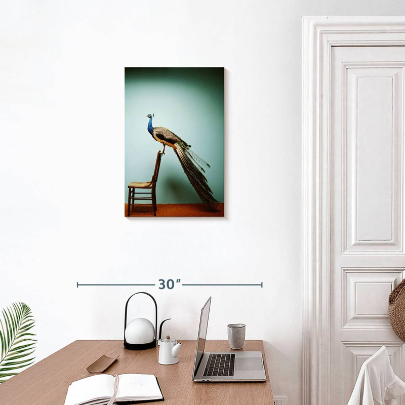 Paon sur une chaise, H 24 po x l 16 po