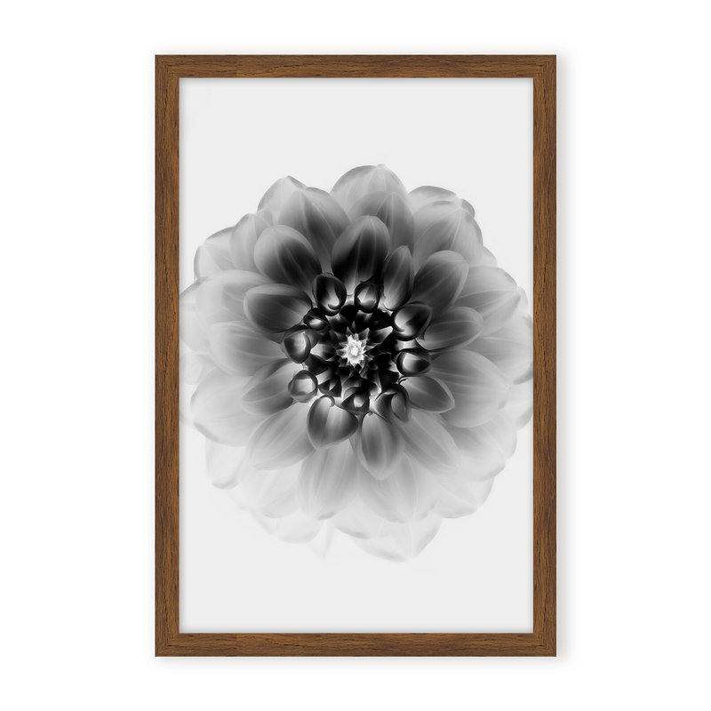 X-Ray Print by Alex Zhao, 48" H x 32" W x 1.125" D, Black, Framed Matted Print