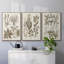 Sépia Botanical Journal VI 3 pièces-97711686-97711688