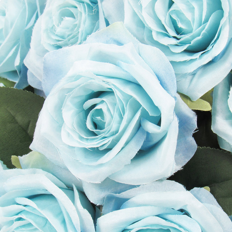 Grand rosier, Bleu cendré