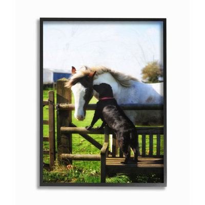 «Farm Horse and Dog», photographie