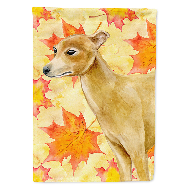 Automne 2 côtés en polyester 15 x 11 po drapeau de jardin, Lévrier italien brun