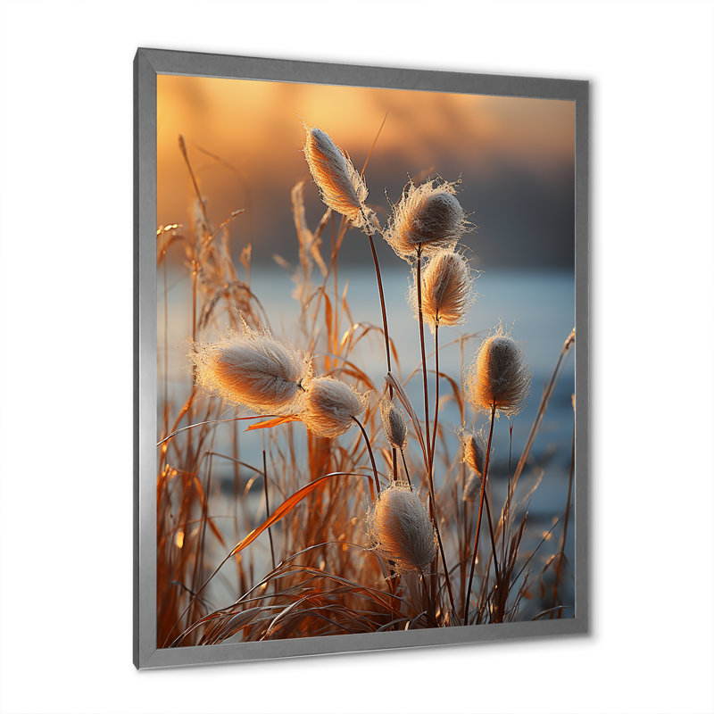 «Beachgrass Sunset Nature Herbs I», reproduction d'art sur toile, Cadre simple argenté, H 20 po x l 12 po x P 1 po