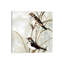 «Neutral Spring II» par Carol Robinson, impression sur toile tendue-55902942
