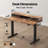 48" Electric Standing Desk With Drawers, Height Adjustable Desk With Retractable Storage Shelf, Stand Up Home Office Computer Table-117495712-117495714