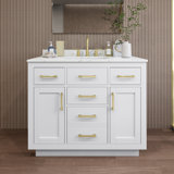 Beckett TK 42'' W Vanity