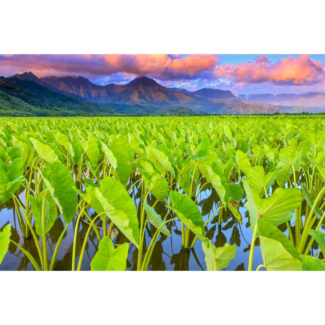 Insel Kauai