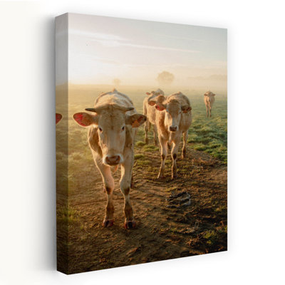 Misty Morning Cows by Anke Sol - Wrapped Canvas Print