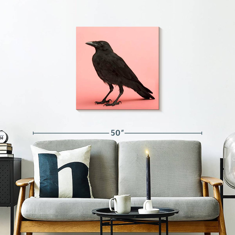 Corbeau noir Crowle