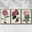 Ensemble de 3 pièces sur toile moyenne-97811980-97811982