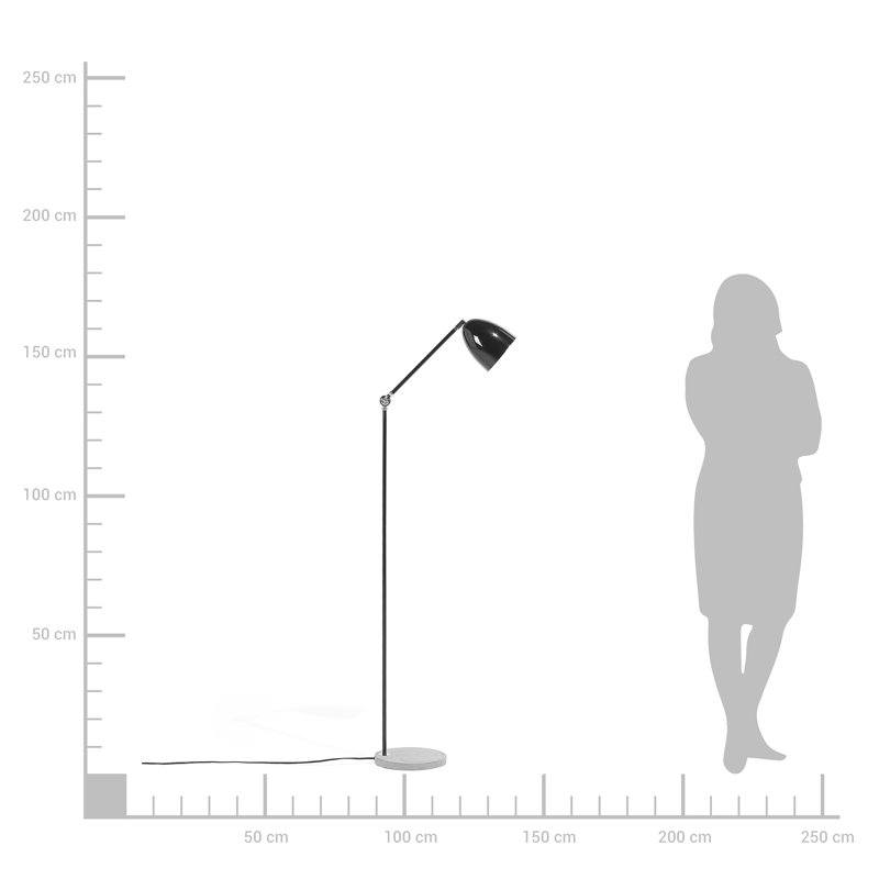 Triston 165cm Task Floor Lamp, Black