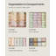 Roshani Organiser Set-1459194046