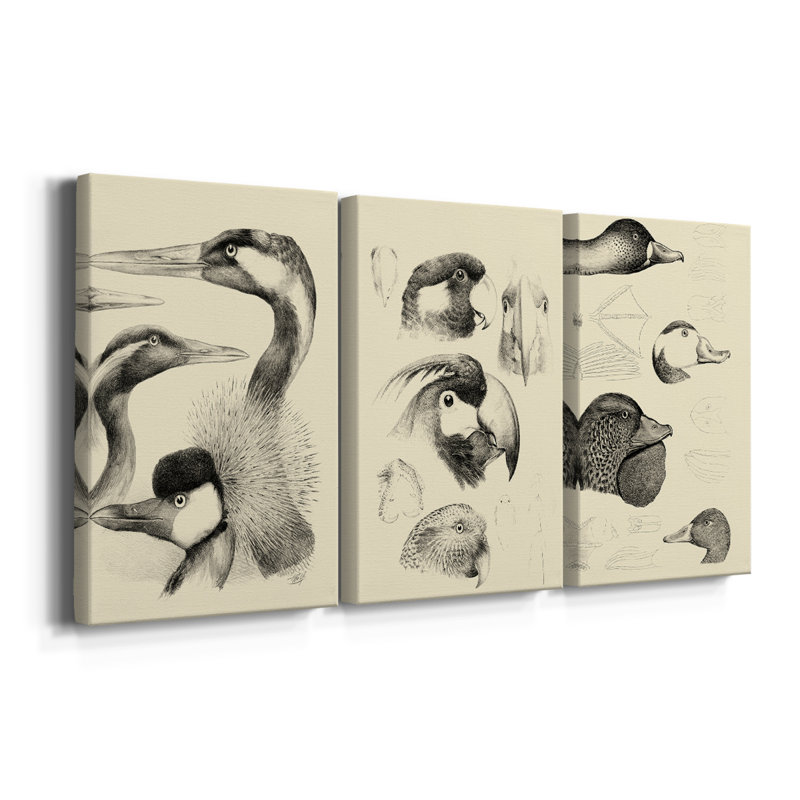 Carnet de croquis Waterbird I - Toile tendue avec châssis - 3 pièces, H 12 po x l 24 po