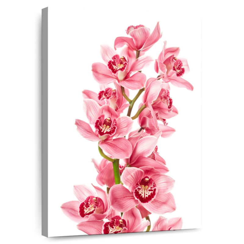Orchidées roses Harnek, H 51 po x l 34 po