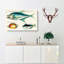 East Indies Fish Illustrations XXIX by Louis Renard - Wrapped Canvas-55373044