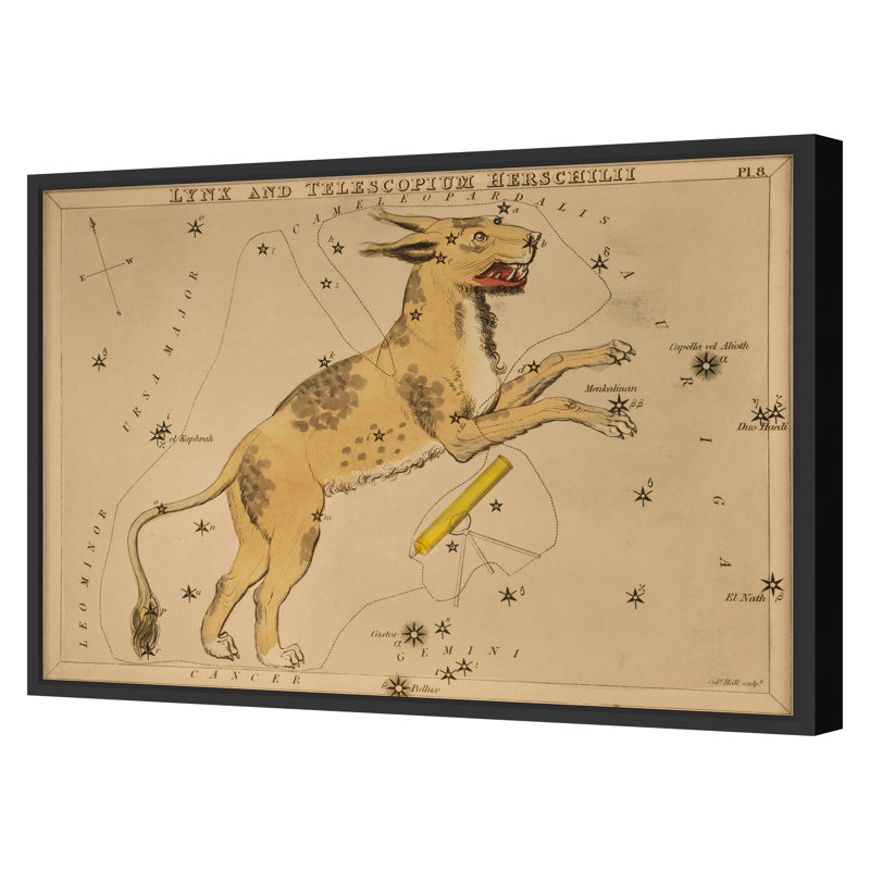 Lynx Print by Grand Archives, Black Framed, 22" H x 31" W
