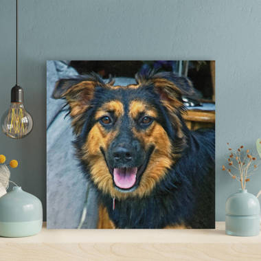 Spring Dog House German Shepherds Dog Puzzle with Photo Tin PUZL53343