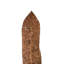 Feuille de sculpture sculptée sur pied