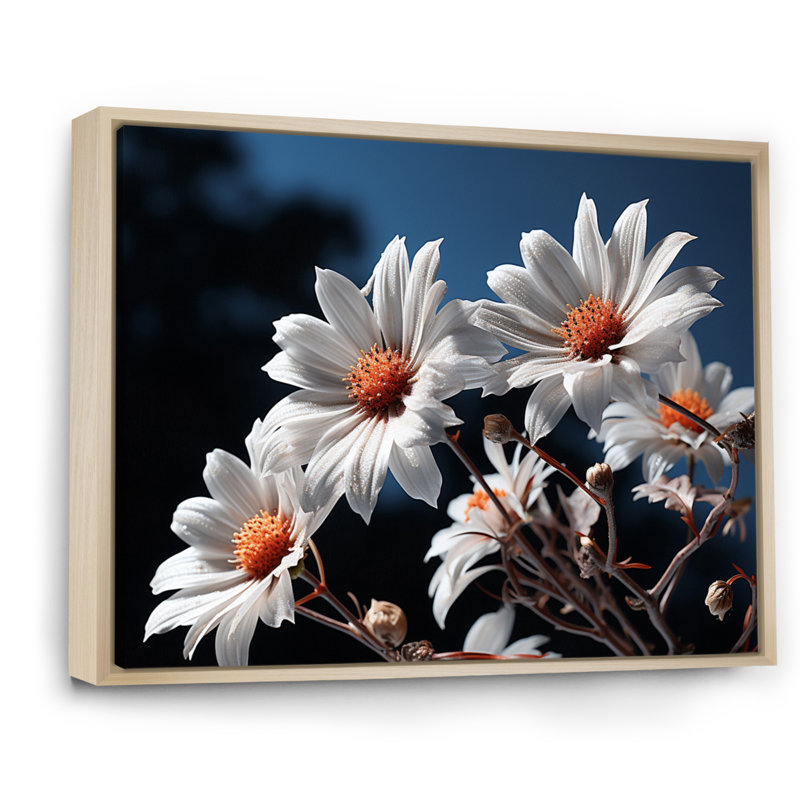" White Daisies Field Sunrise II ", 12" H x 20" W, Natural Floater Framed