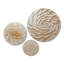 Beige Radiant Swirl vortex - Art botanique abstrait en métal 3 pièces
