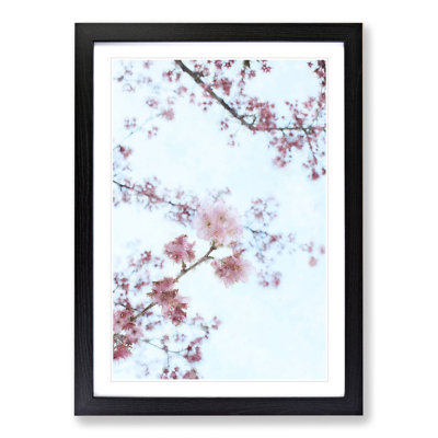 Eye of the Cherry Blossom Tree - Framed Print