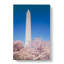 The Washington Monument - Wrapped Canvas-55300119