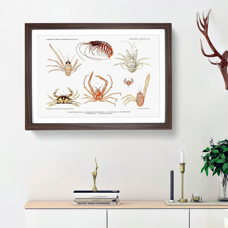 Crabs & Shrimps by Albert I - Picture Frame Painting Print, 27cm H x 36cm W x 2cm D, Walnut Framed