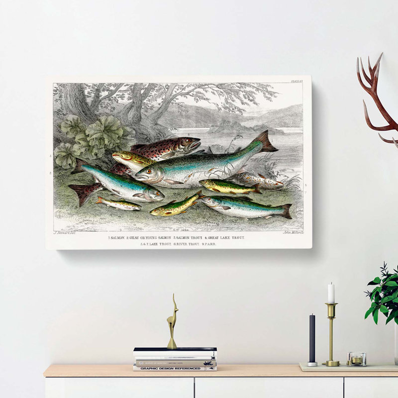 Fished Salmon And Trout by Oliver Goldsmith - Wrapped Canvas Print, 35cm H x 50cm W x 3cm D
