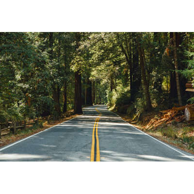 Forest Road - Wrapped Canvas Print