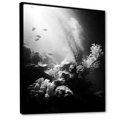 " Black And White Underwater Silent Flow II "