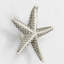 2" Starfish Small Knob-104674675-39948825