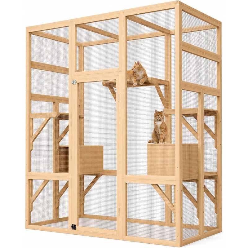 Cat House, Beige