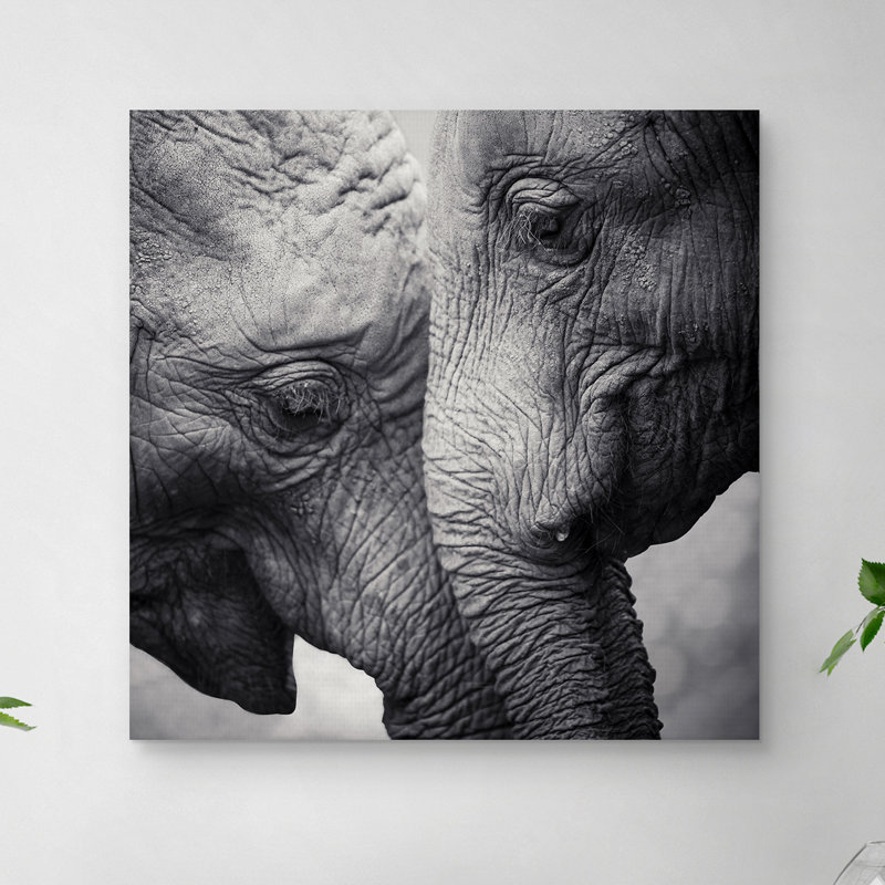«Nose to Nose», impression sur toile tendue