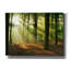 «Rays of Light», art mural sur toile-285148111