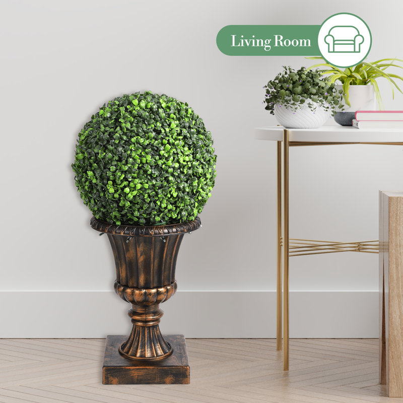 40cm Plant