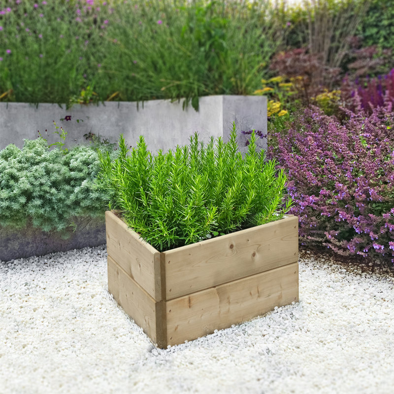 Danielburnham Triangular Raised Bed - 60cm each side, Height 30cm