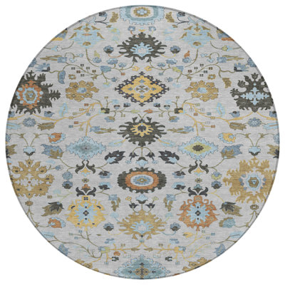 Machine Washable Indoor/Outdoor Chantille ACN2458 Traditional Rug