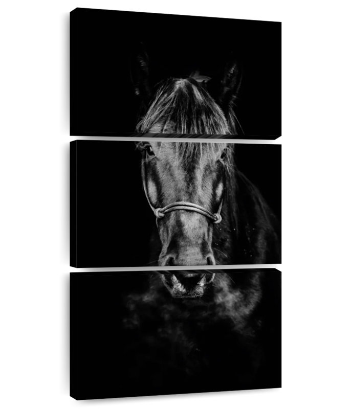 Black Horse Up Close