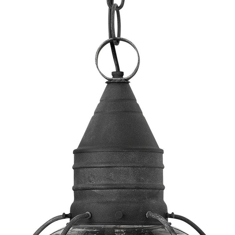 Jolie 1-Light Outdoor Hanging Lantern, 100W Medium