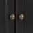 Arjae Accent Cabinet-472616112